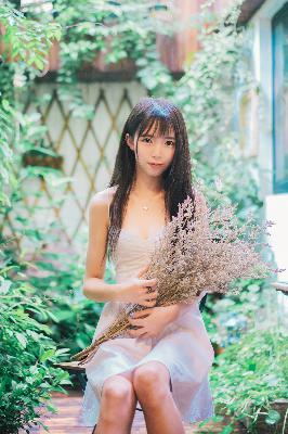 菠萝蜜在线观看免费播放电视剧